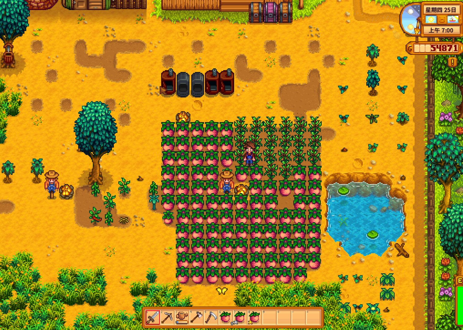 黑暗之魂3 重制版 截图11